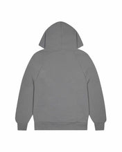 Load image into Gallery viewer, Chenille Decoded Hoodie - Ice Grey